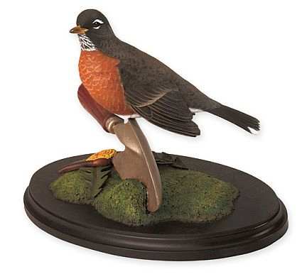 Backyard Songbirds American Robin