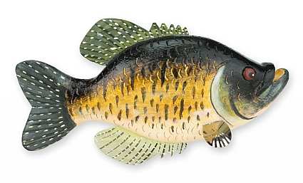 Folk Art Fish Crappie Keeper Sculpture