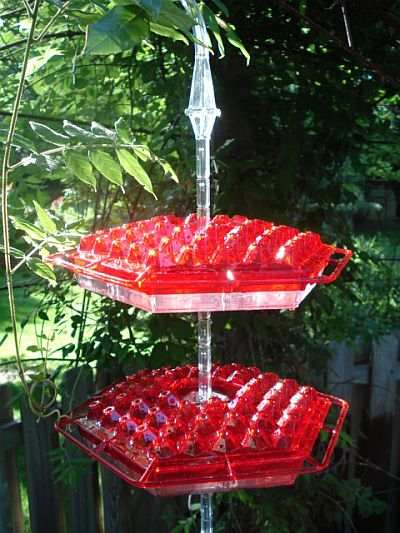 Hum Sweet Hum Two Tier Hummingbird Feeder