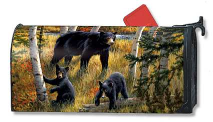 Black Bear Family MailWrap