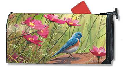 Sittin' Pretty MailWrap