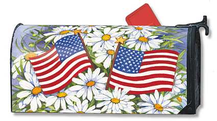 American Daisies MailWrap
