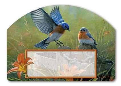 Bluebird Landing Yard DeSign