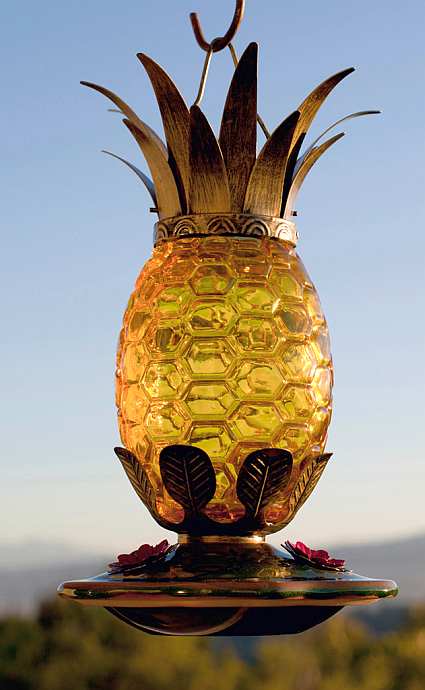 La Pina Caribena Pineapple Hummingbird Feeder