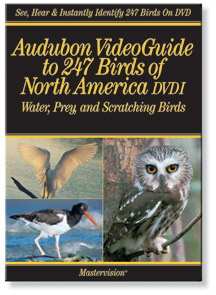 Audubon Video Guide Water, Prey & Scratching Birds