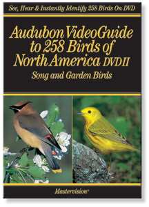 Audubon Video Guide Song and Garden Birds DVDII