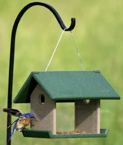 Rubicon Recycled Plastic Meal Worm Feeder
