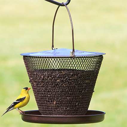 No/No Bronze Tray Feeder