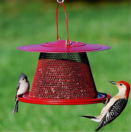bird feeders for cardinals driverlayer search engine bird feeders for cardinals driverlayer search engine
