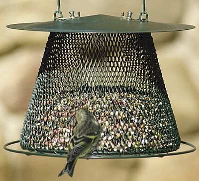 No/No Forest Green Feeder w/Extended Roof