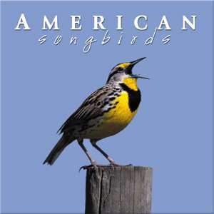 Naturescapes American Songbirds CD
