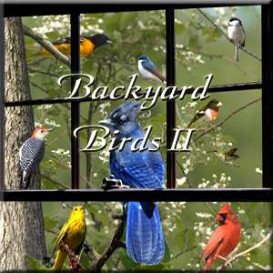 Naturescapes Backyard Birds II CD