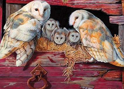 Barn Owls 1000 Piece Jigsaw Puzzle