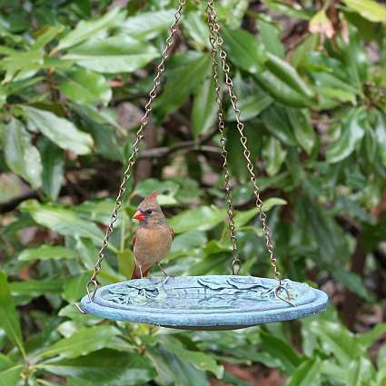 Cobblestone Hanging Birdbath