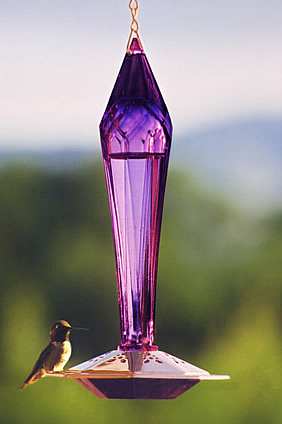 Paradise Faceted Amethyst Hummingbird Feeder