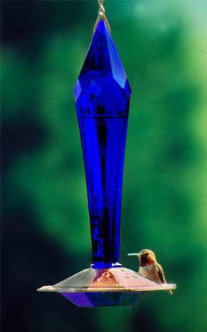 Paradise Faceted Cobalt Hummingbird Feeder