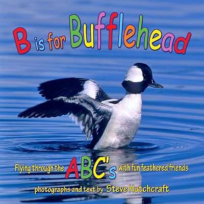 B is for Bufflehead Bird Alphabet Book
