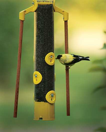 Chapelwood Yellow Finch Feeder with Dowels 18"
