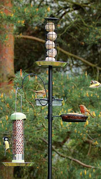 chapelwood suet ball l dining station bird feeder pole chapelwood suet ball l dining station bird feeder pole