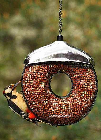 Doughnut Peanut Feeder