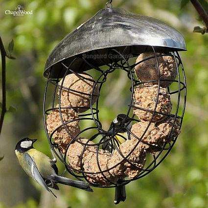 Doughnut Suet Ball Feeder
