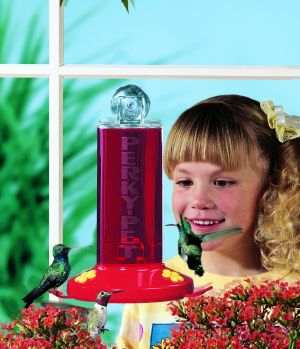 Perky Pet Window Mount Hummingbird Feeder
