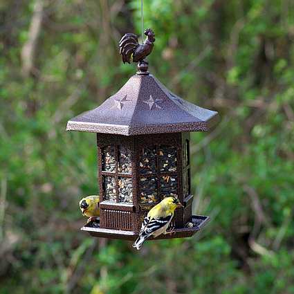 Avant Garden Cupola Bird Feeder