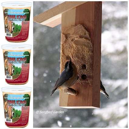 Tree Icing Feeder Combo
