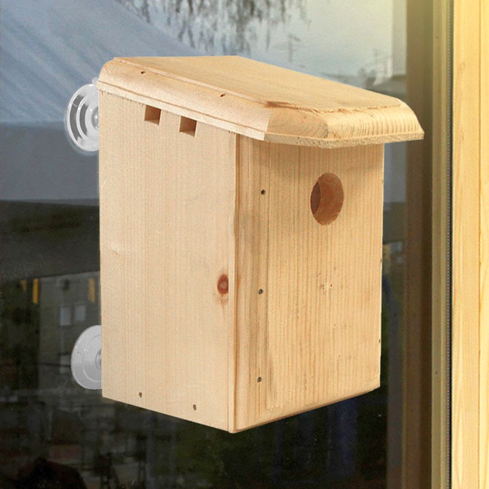 Conservation Window Nest Box Kit