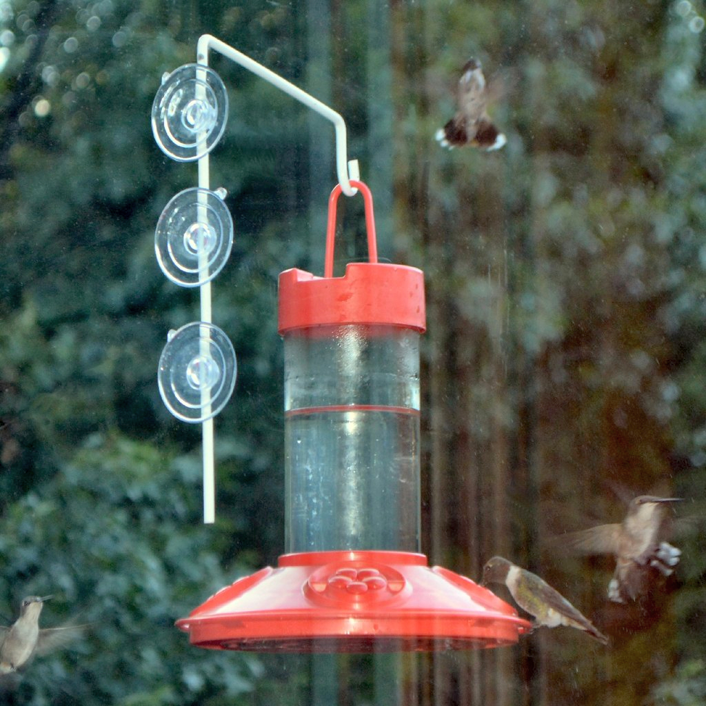 Dr. JB's 16oz Hummingbird Window Feeder All Red