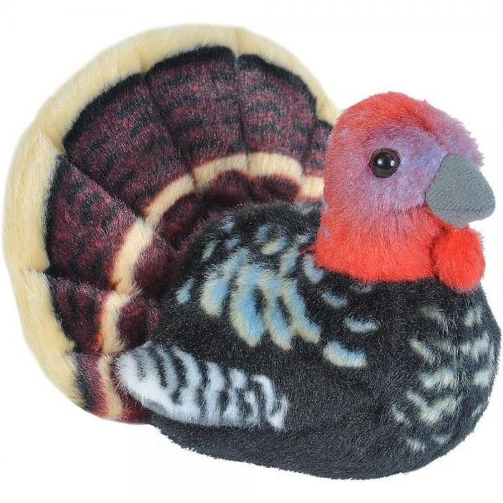 Audubon Birds - Wild Turkey