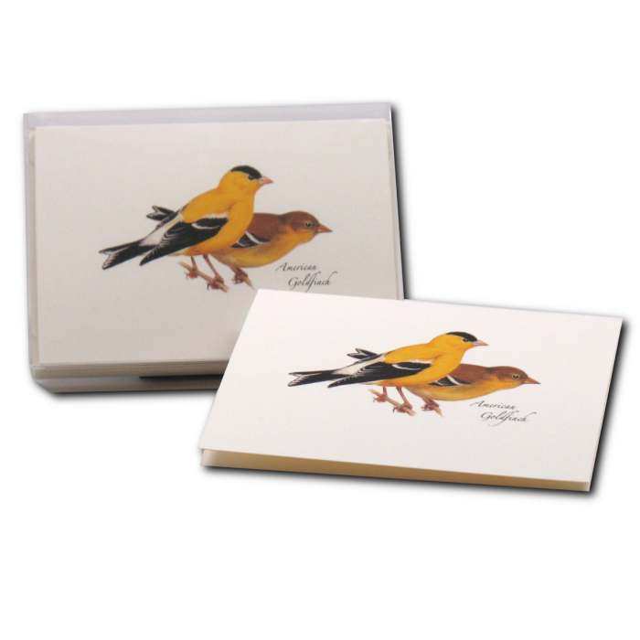 Boxed Notecard Assortment Goldfinch Set of 8