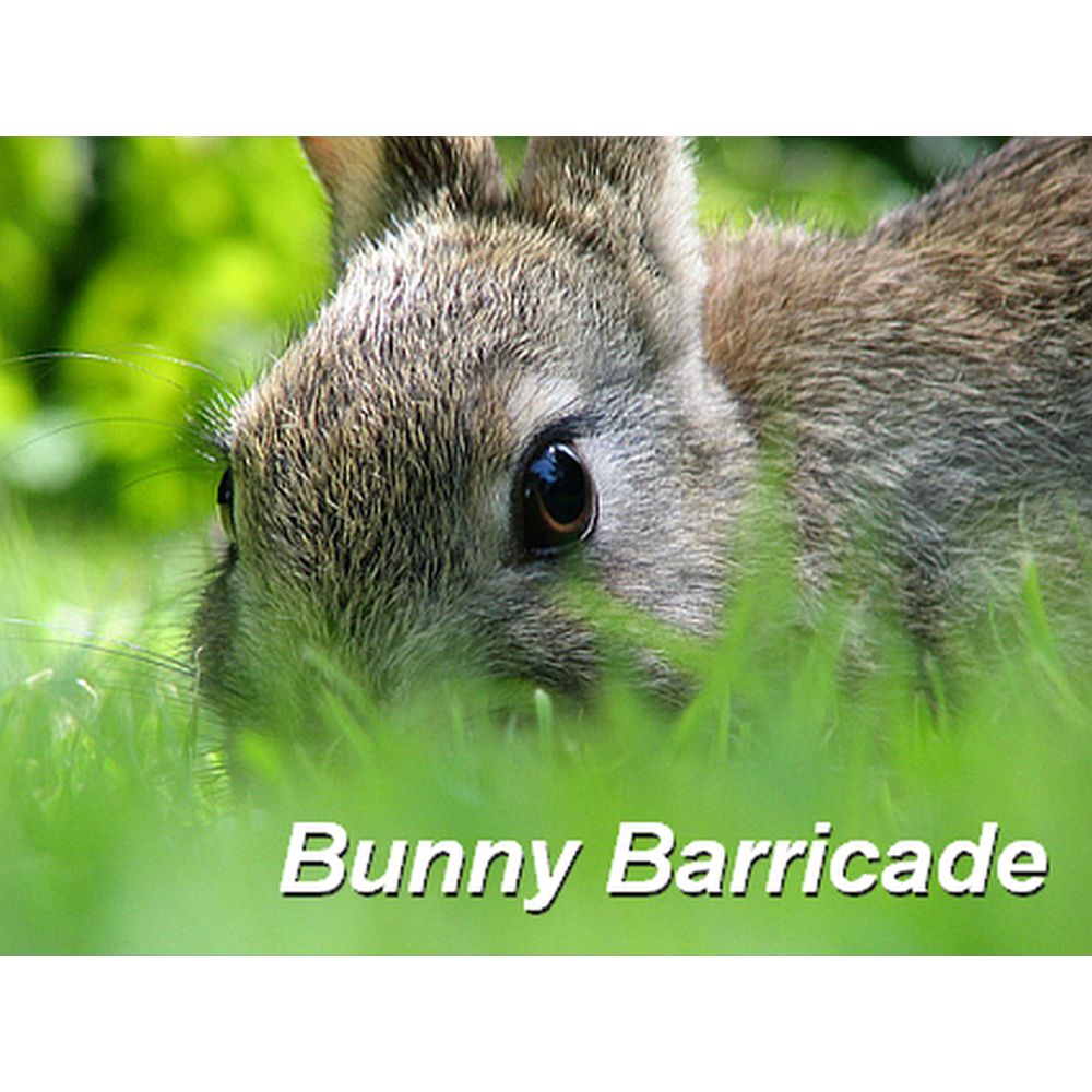 Bunny Barricade Cage 10/Pack