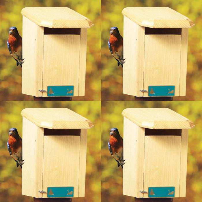Sparrow Resistant Bluebird House 4-Pack w/Poles