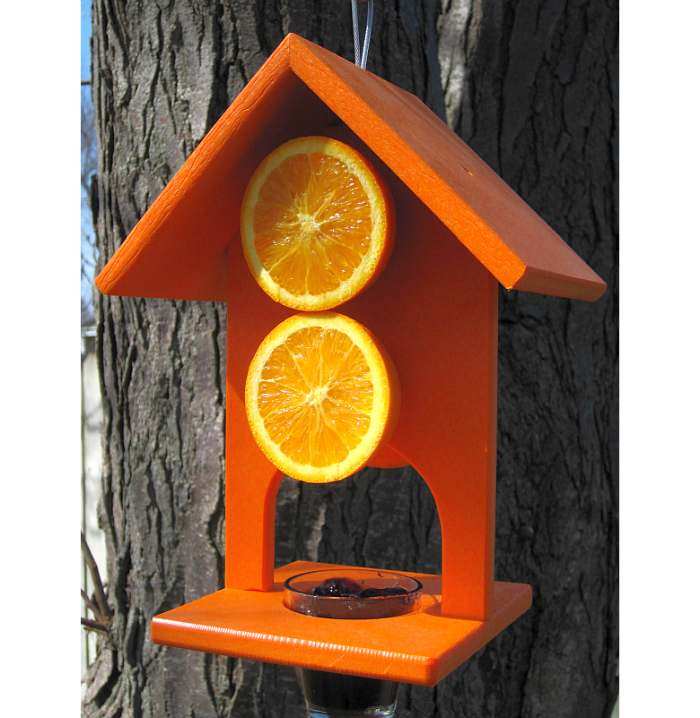 Songbird Recycled Poly Double Fruit Oriole Feeder