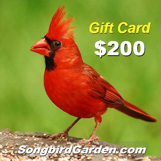 Songbird Garden Gift Card $200
