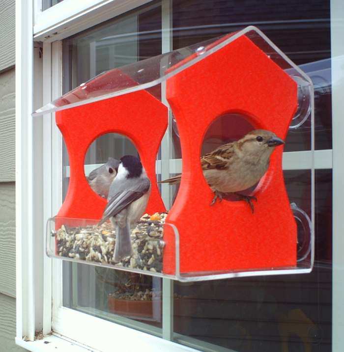 Songbird Recycled Poly Window Feeder Medium Red