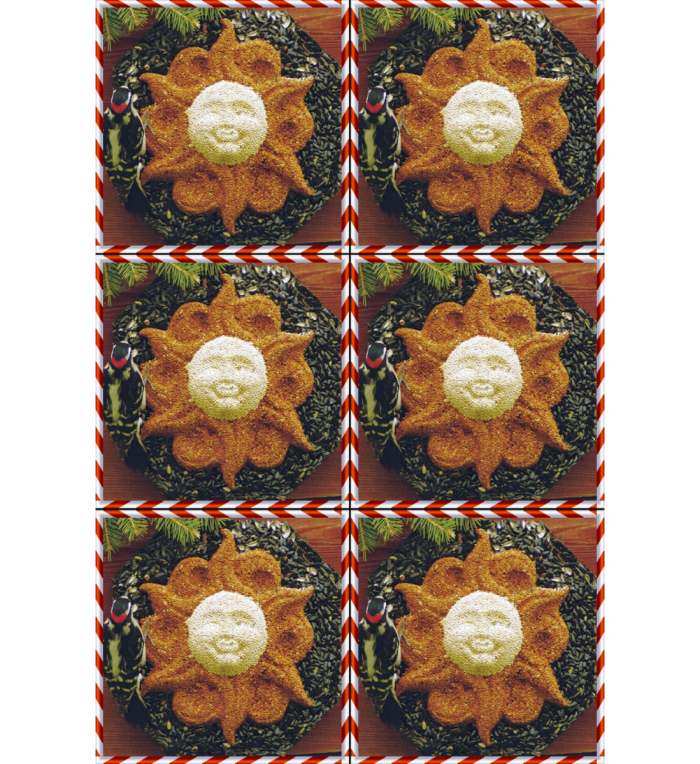 Sun Face Wild Bird Wreath Gift Pack Set of 6