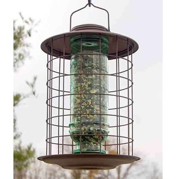 Caged Songbird Vintage Feeder Quality Caged Squirrel Proof Bird