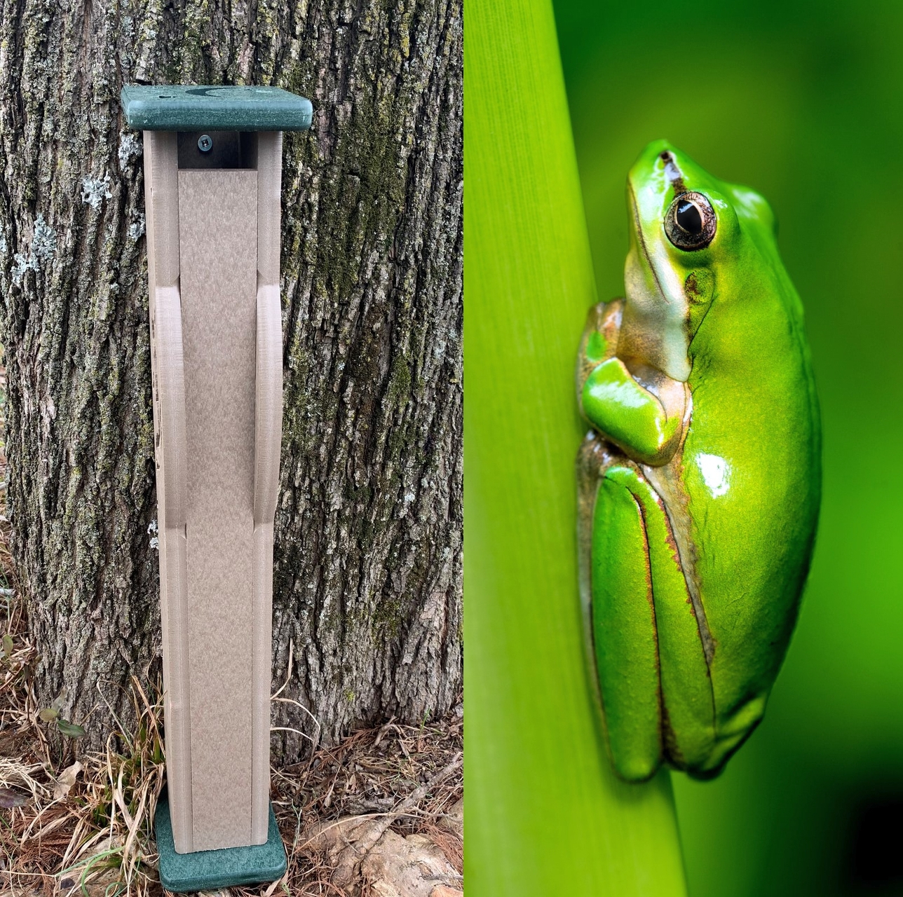 Deluxe Recycled Poly Tree Frog House