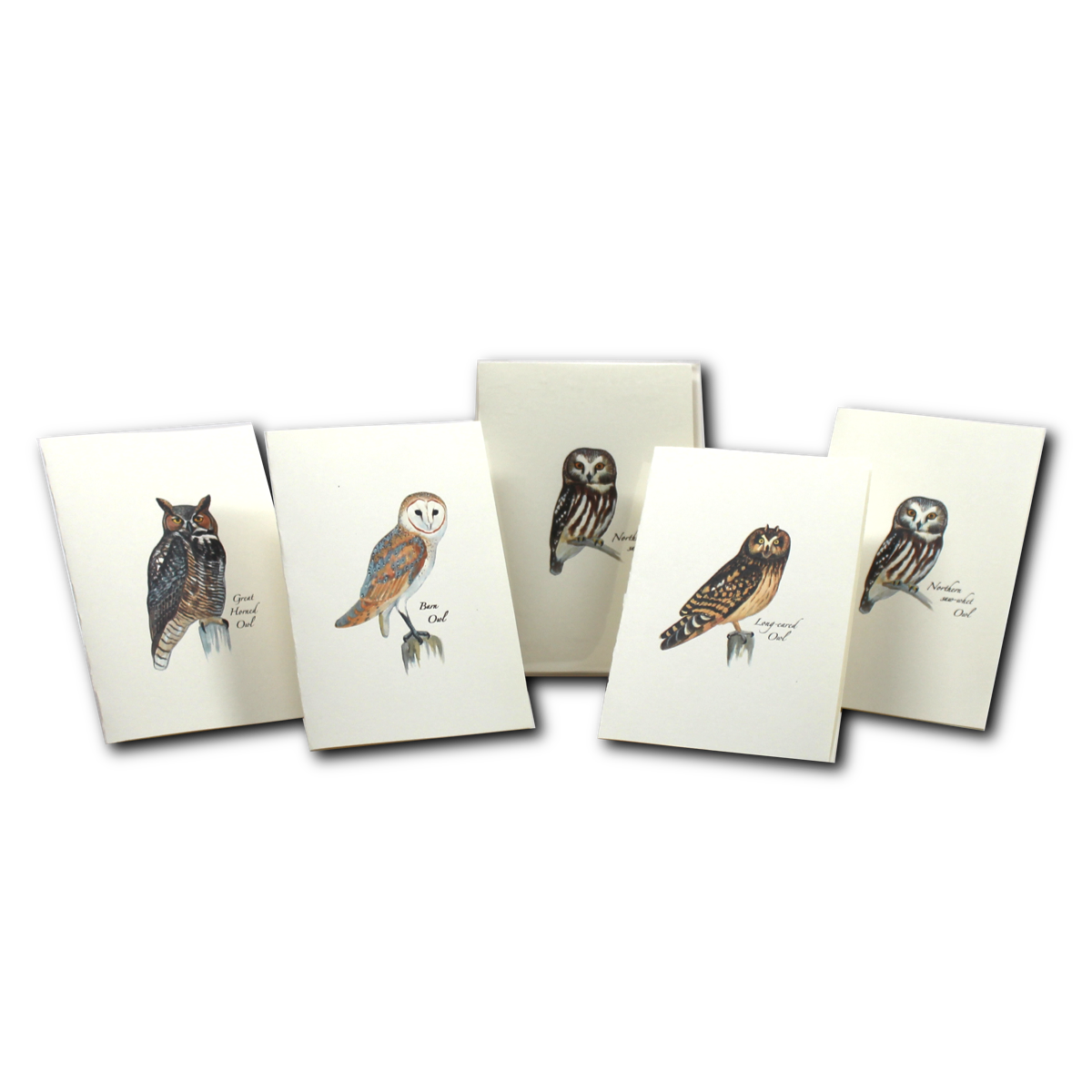 Boxed Notecard Assortment Sibley Owl Set of 8