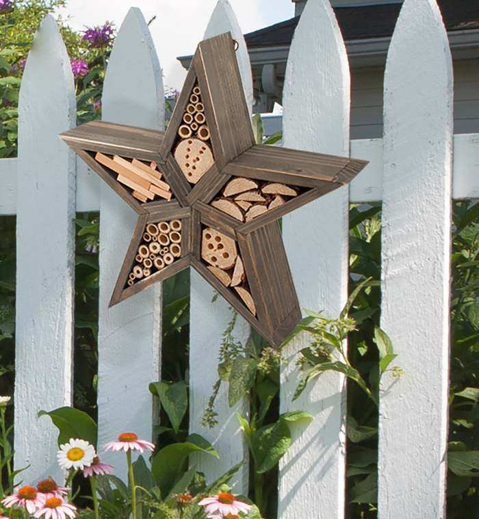 Rustic Star Insect House