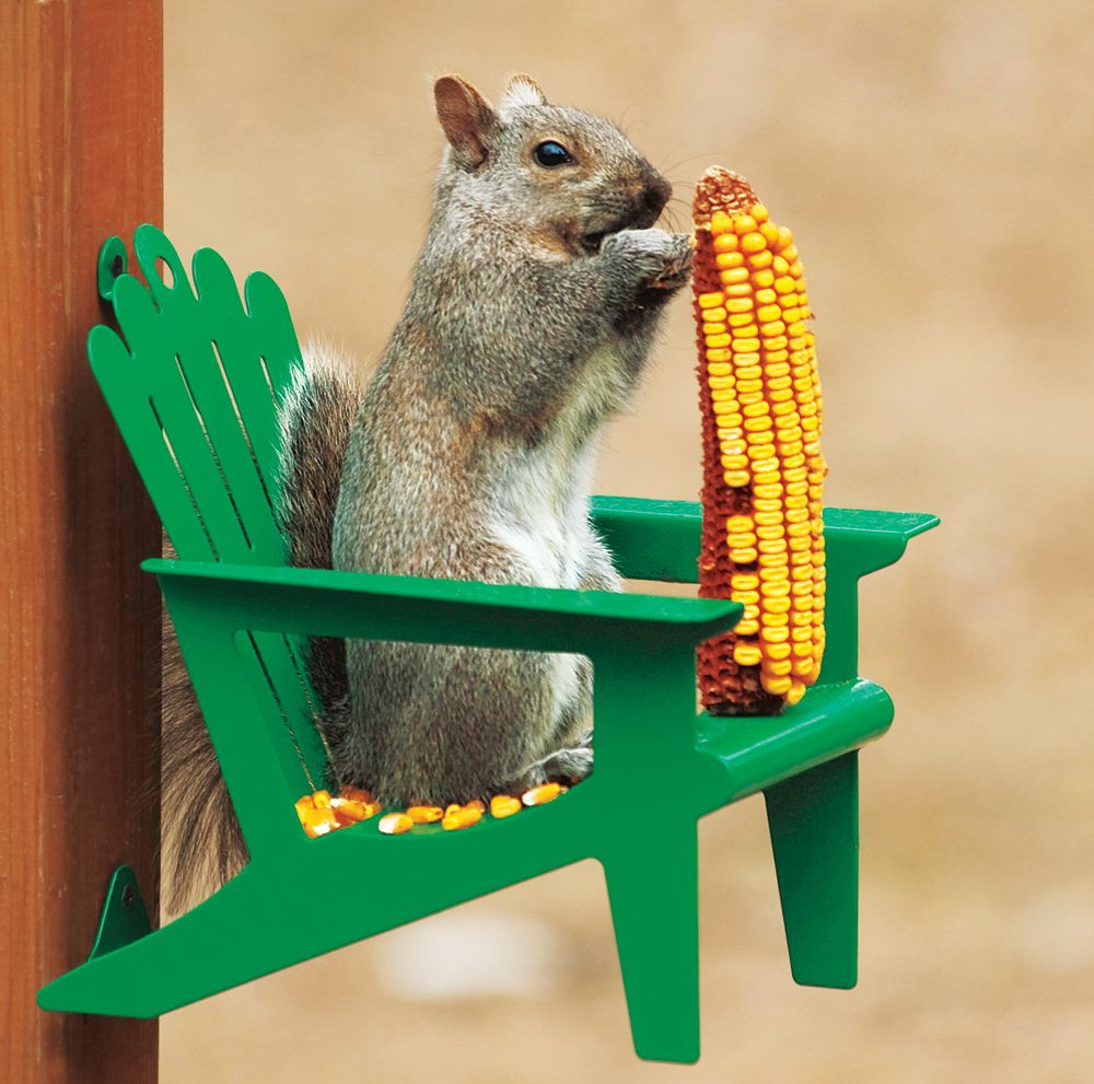 Adirondack Squirrel Chair Feeder Hunter Green