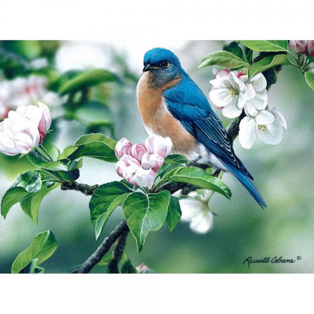 Bluebird on Apple Blossom 1000 Piece Jigsaw Puzzle