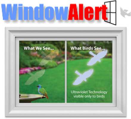 WindowAlert Hawk Transparent Decals 4/Pack