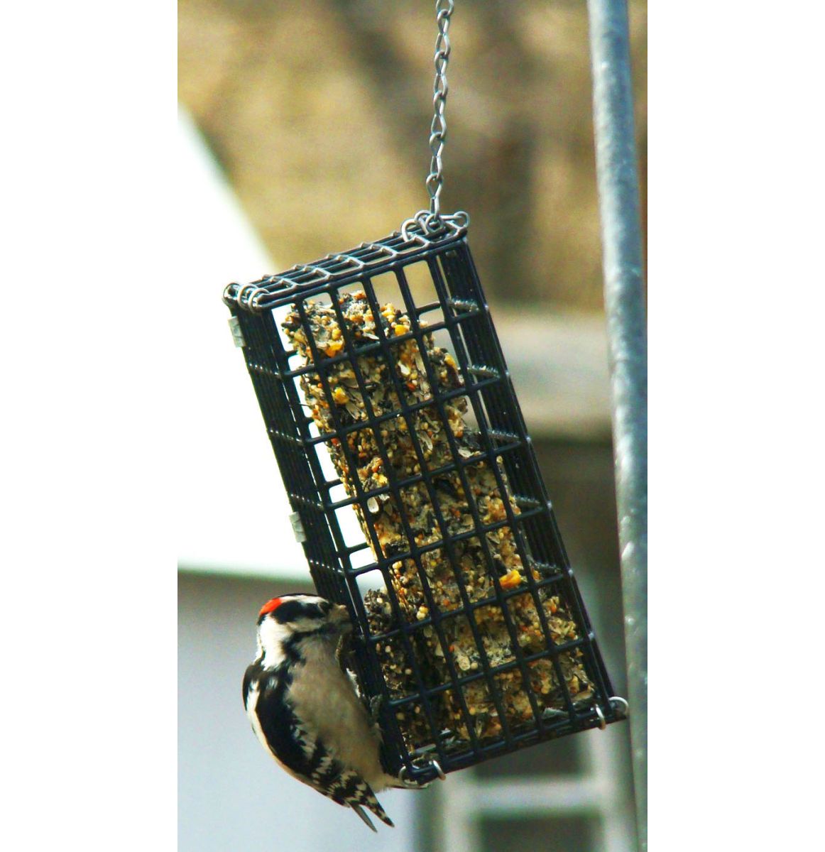 Wire Seed Bar Hanging Bird Feeder
