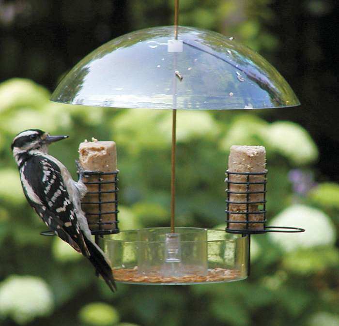 Supper Dome Seed, Suet, Mealworm Feeder