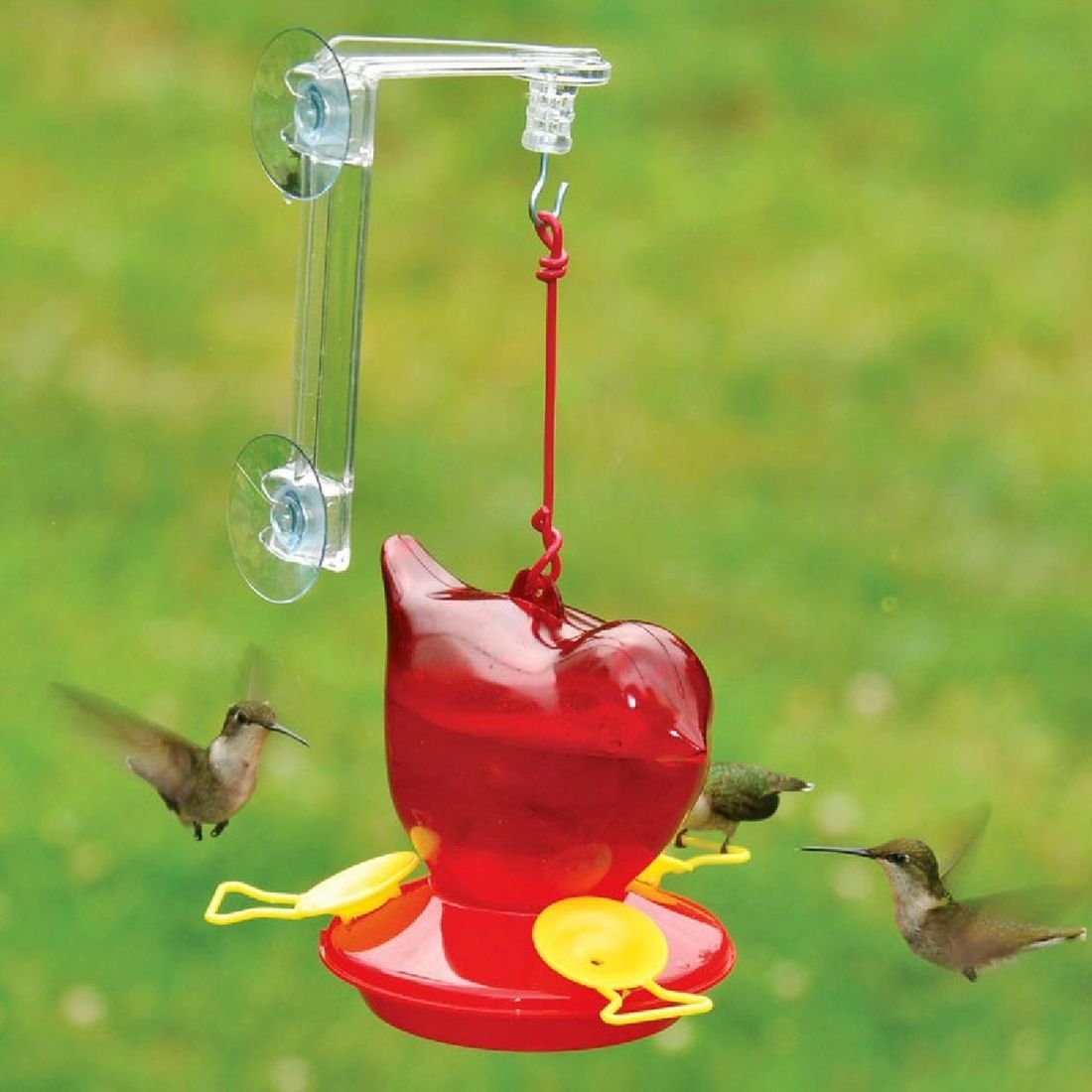 Red Bird Hummingbird Feeder w/Hanger Twin Pack