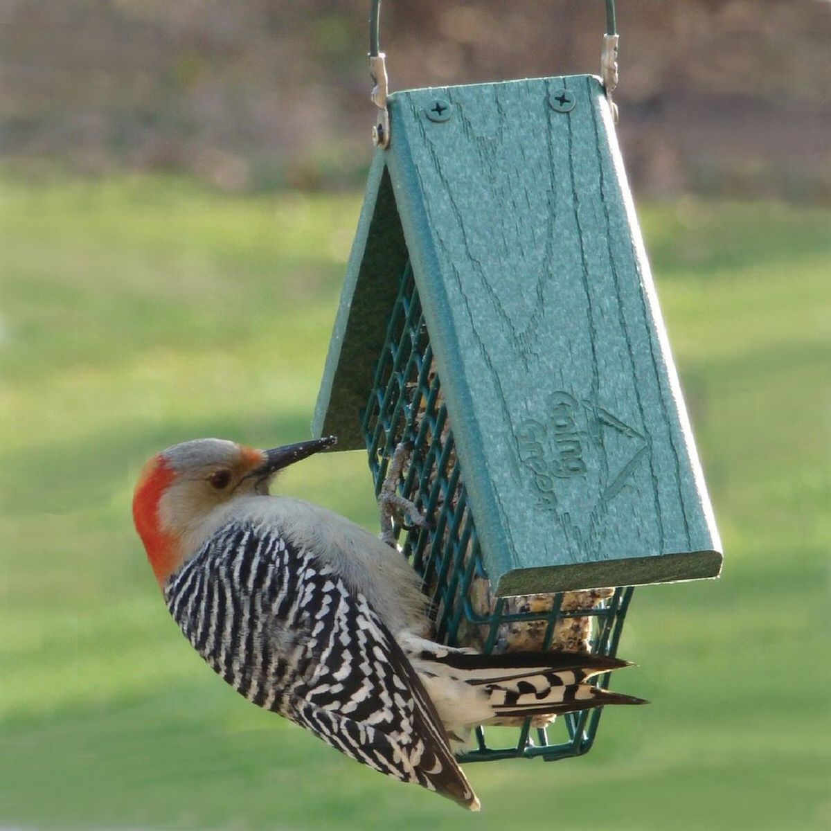 Going Green Recycled Plastic Suet Feeder