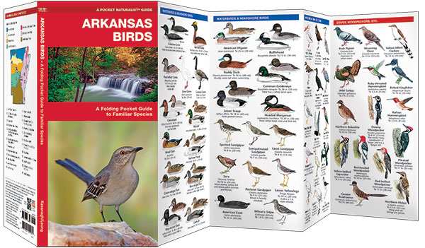 Arkansas Birds Pocket Naturalist Guide